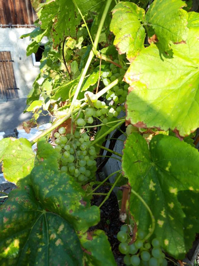 Ferienwohnung Im Seidlerhof Mit Balkon Und Garten Rohrnbach Luaran gambar