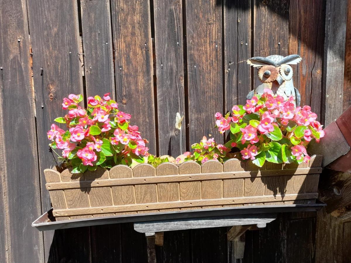 Ferienwohnung Im Seidlerhof Mit Balkon Und Garten Rohrnbach Luaran gambar