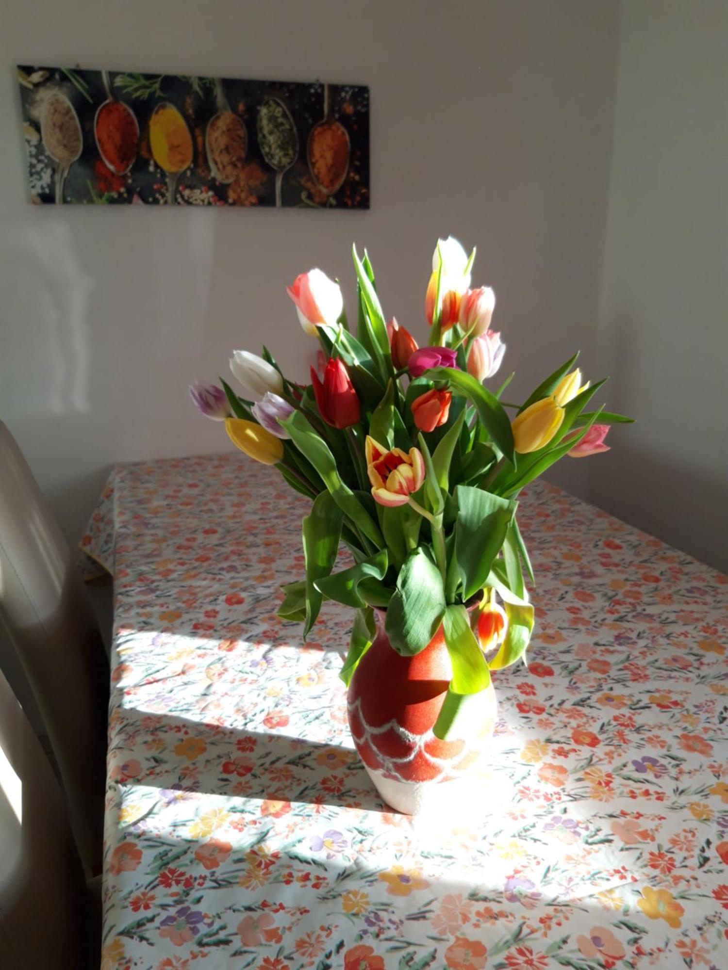 Ferienwohnung Im Seidlerhof Mit Balkon Und Garten Rohrnbach Luaran gambar
